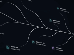 Who Checks the Patrol Records? Where AI Can Help Security Supervisors
